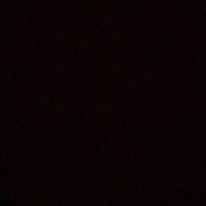 Meet your Posher, Frank